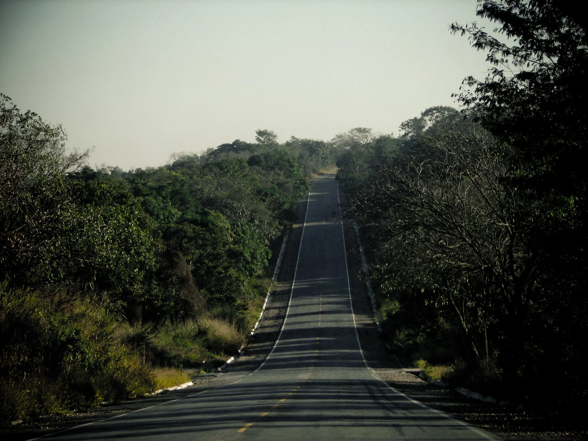 DSC04610-Edit.jpg
