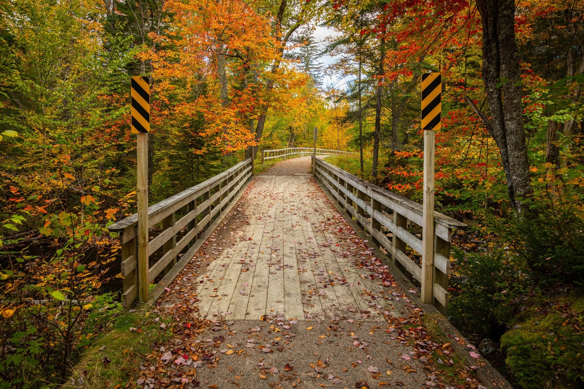  Mont-Tremblant, Québec, Canada 
 Nature 