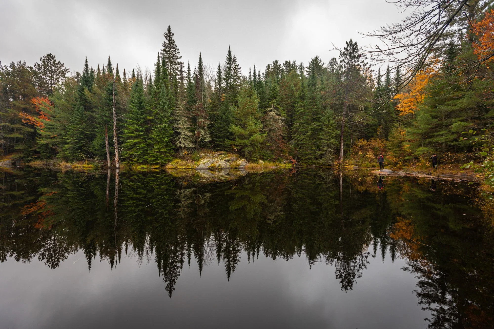  Algonquin National Park, Canada 
 Nature 
