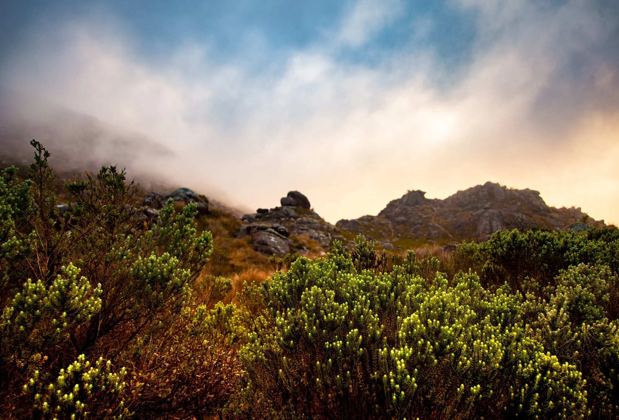  Itatiaia National Park, Brazil 
 Nature 