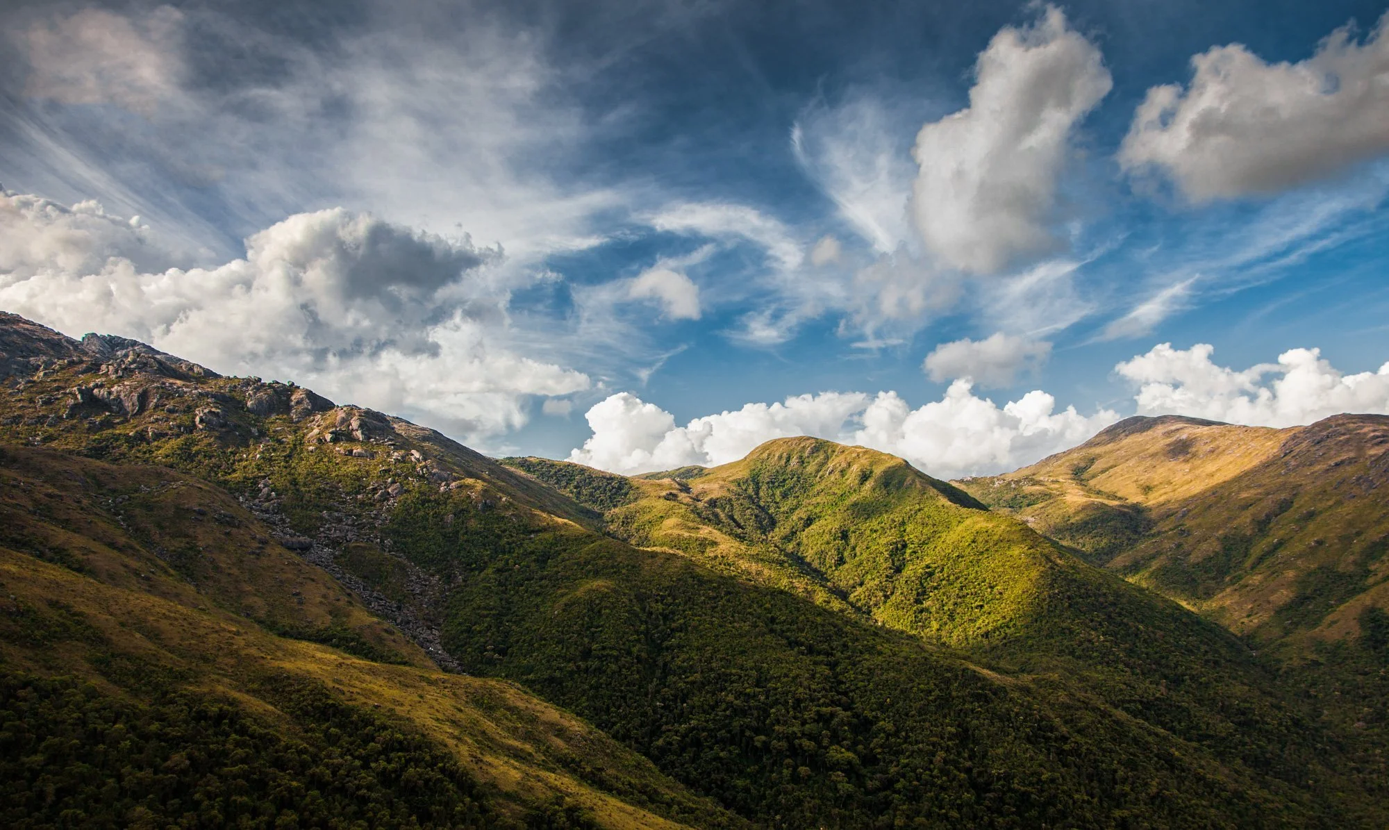  Itatiaia National Park, Brazil 
 Nature 