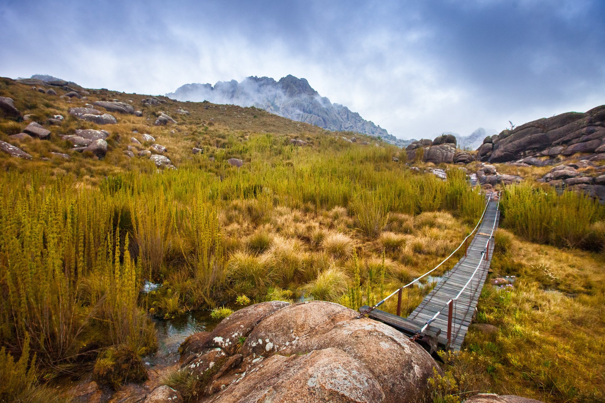  Itatiaia National Park, Brazil 
 Nature 