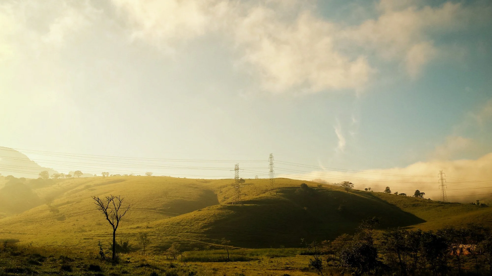  São Paulo countryside, Brazil 
 Nature 