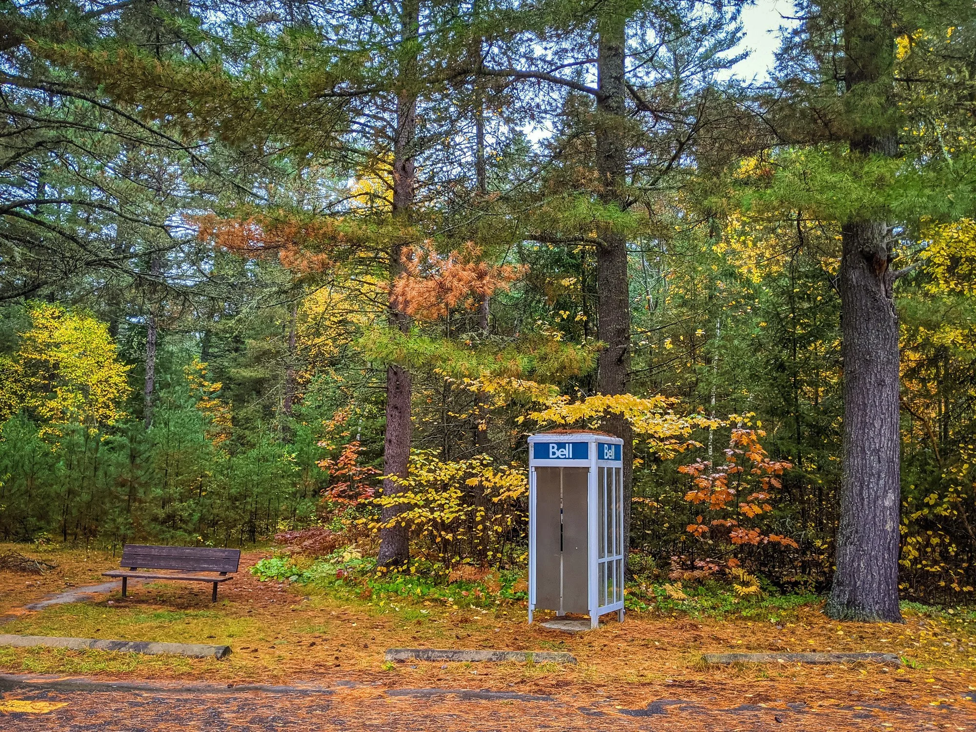  Algonquin National Park, Canada 
 Nature 
