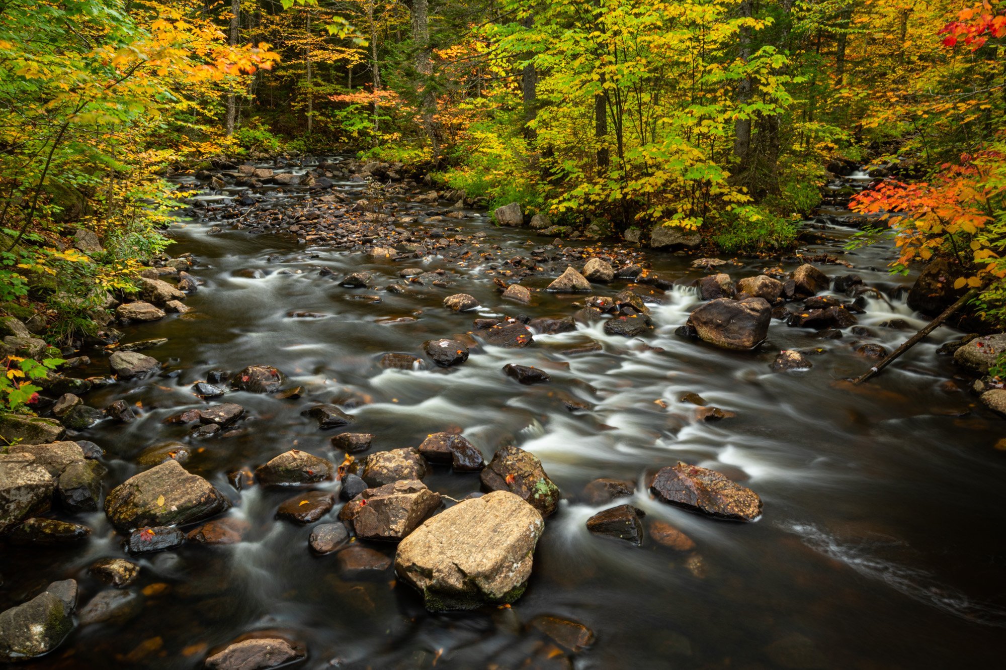  Mont-Tremblant, Québec, Canada 
 Nature 