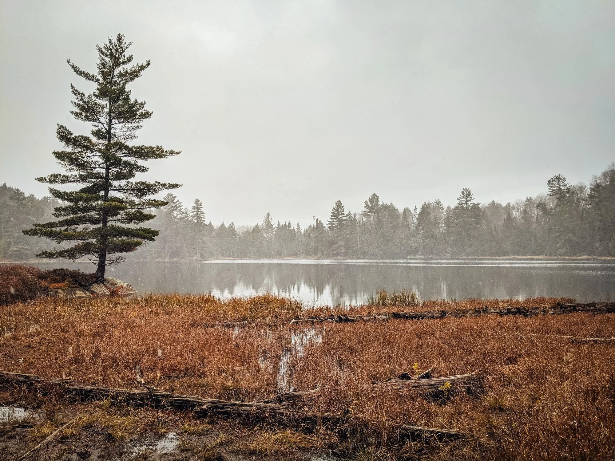  Algonquin National Park, Canada 
 Nature 