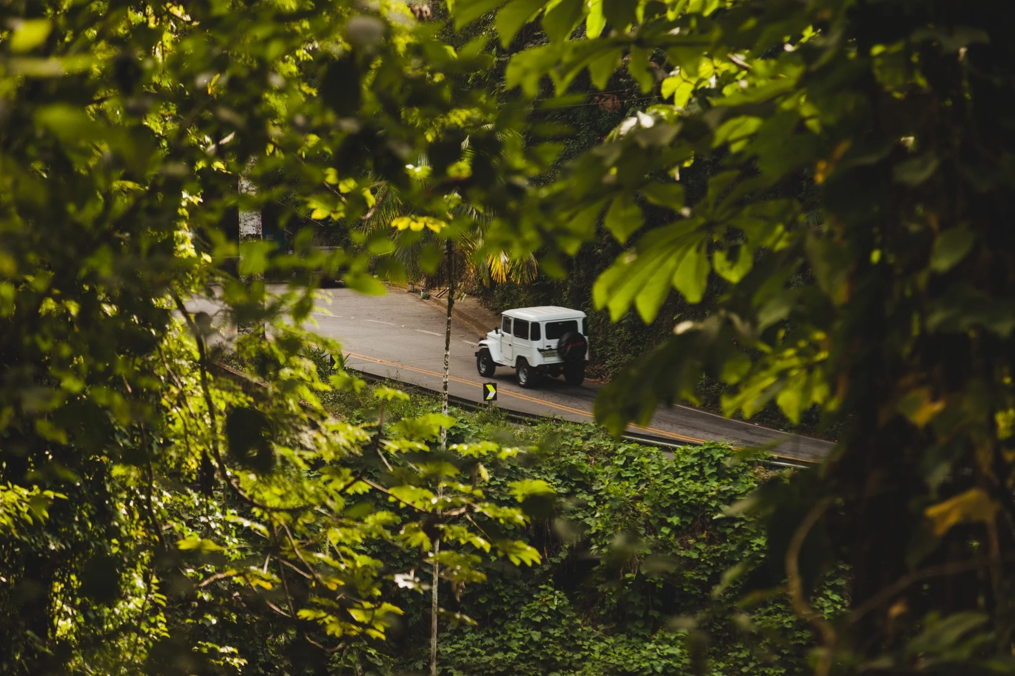 Serra da Pedra Selada (Projects  Fred on Everesting ,  Rio de Janeiro )
 Outdoors 