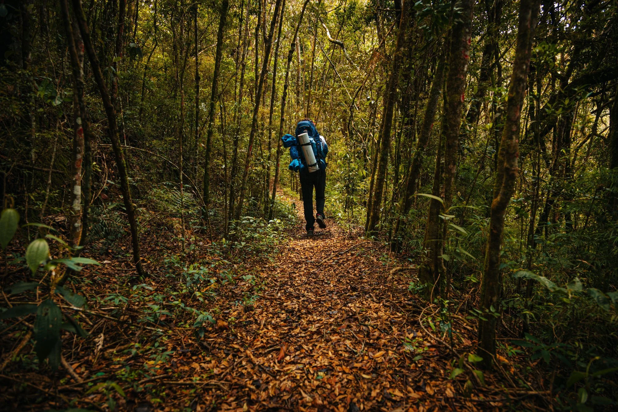  Itatiaia 
 Outdoors, Sports 