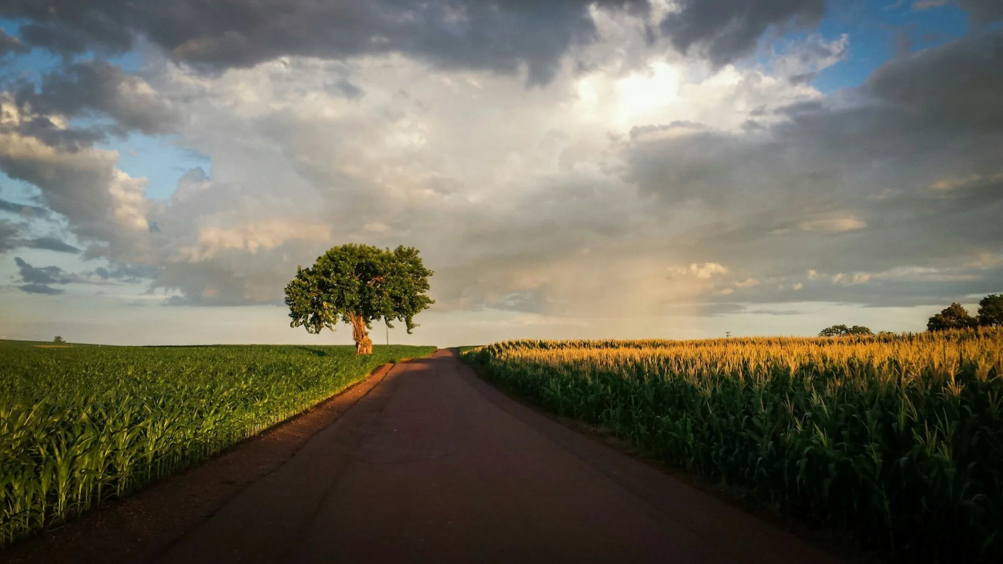  Paraná countryside, Brazil 
 Rural 