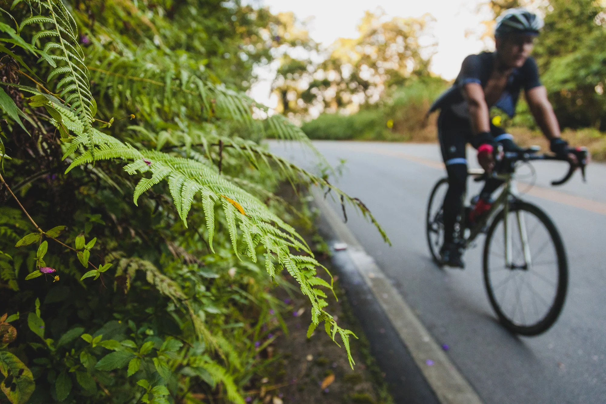  Frederico "Fred" Costa Pinto on an Everesting attempt 
 Cycling, Making of 