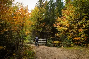 Mont-Tremblant