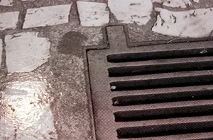 Details of the photo printed