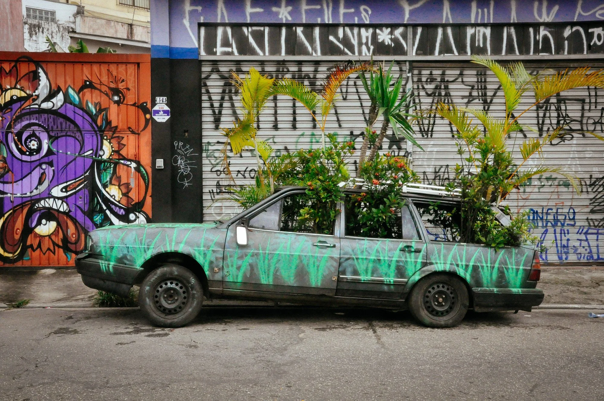  São Paulo, Brazil 
 Urban 