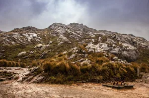 leocavallini_06nov2016_2322.jpg