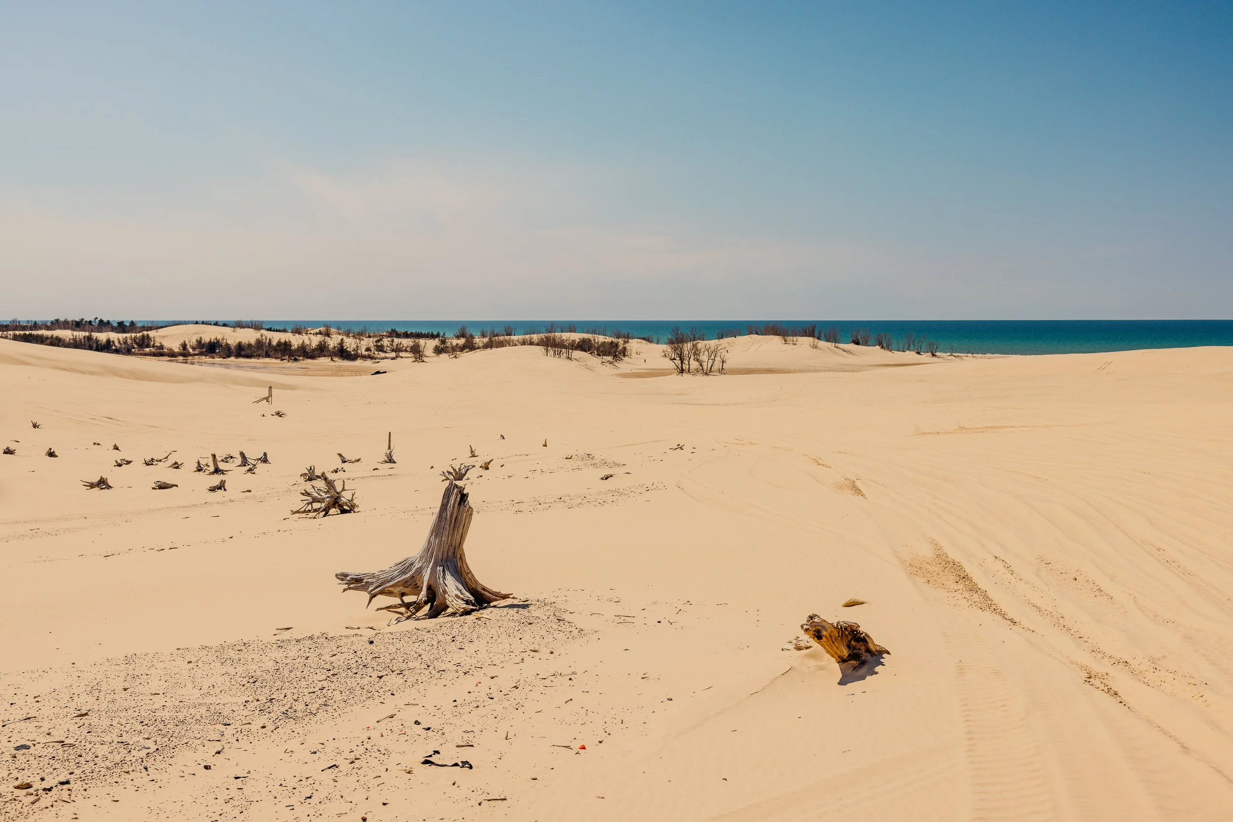 leocavallini_07Apr2023_2015.jpg
