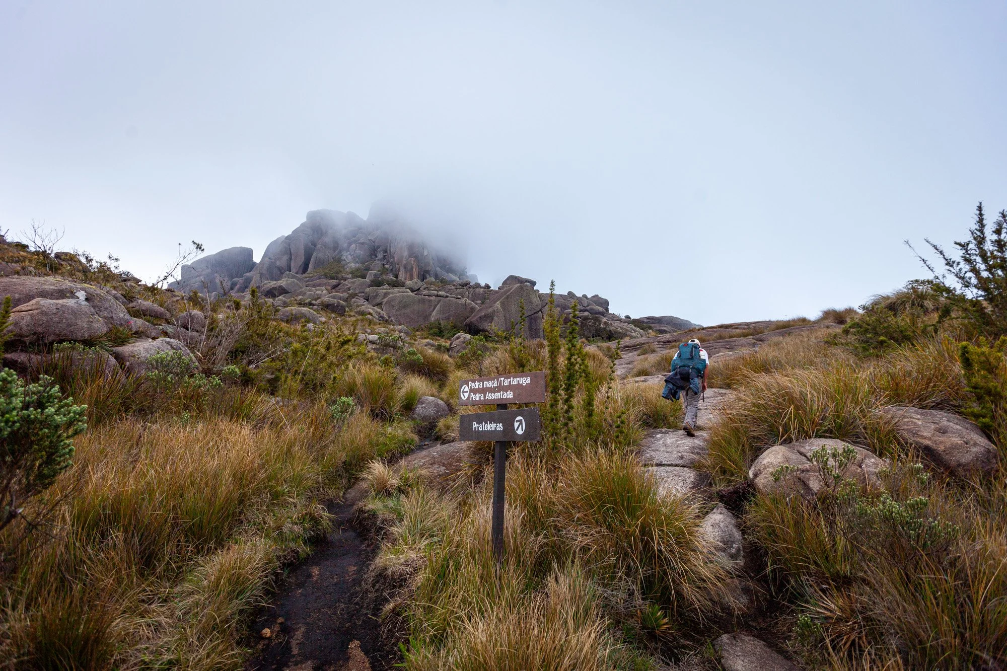  Hiking at the Itatiaia National Park, Brazil 
 Hiking 