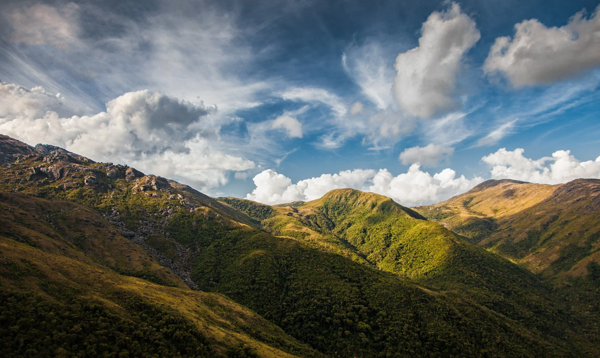 leocavallini_09nov2016_3068-Edit.jpg