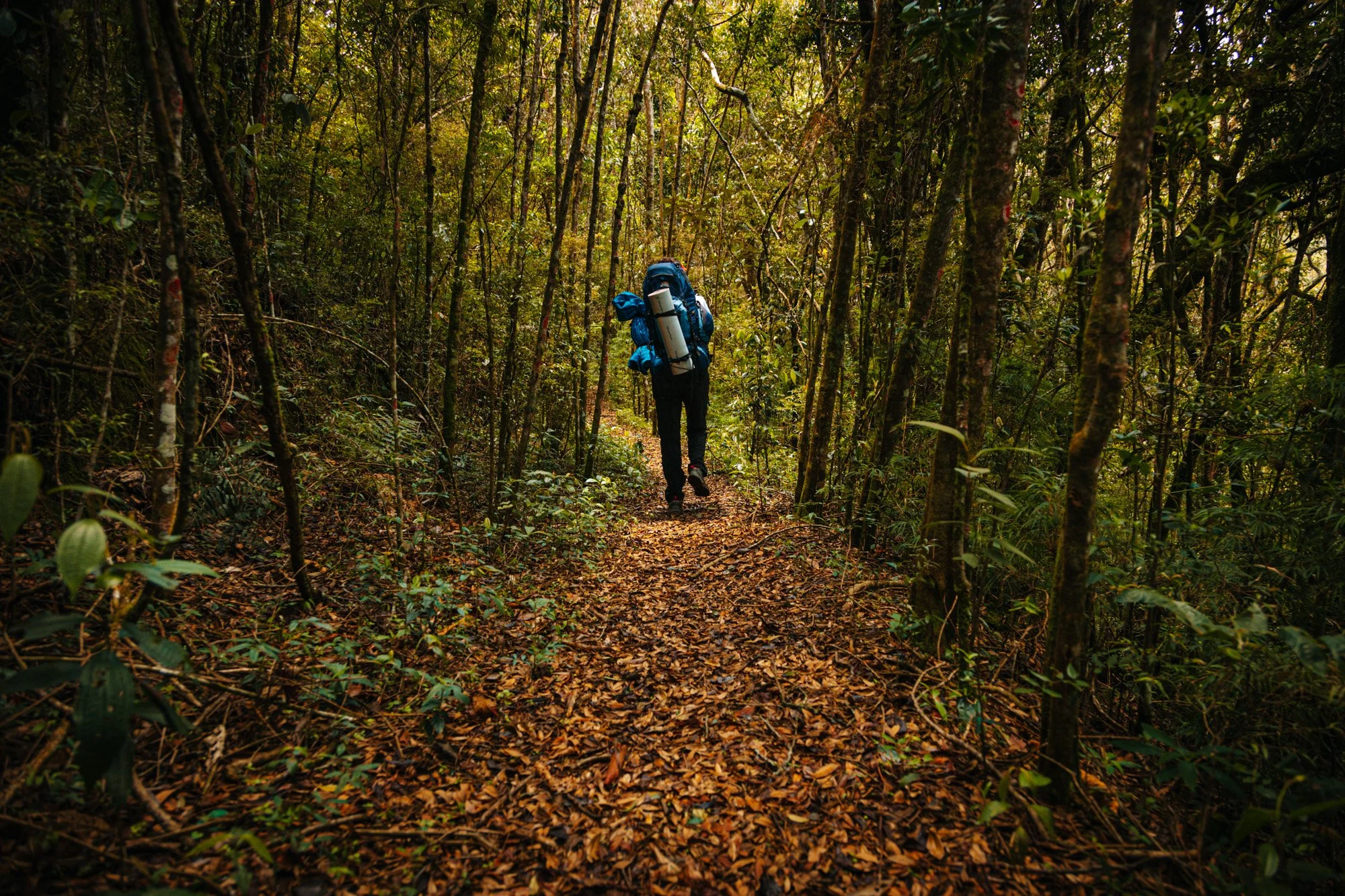  Hiking at the Itatiaia National Park, Brazil 
 Hiking 