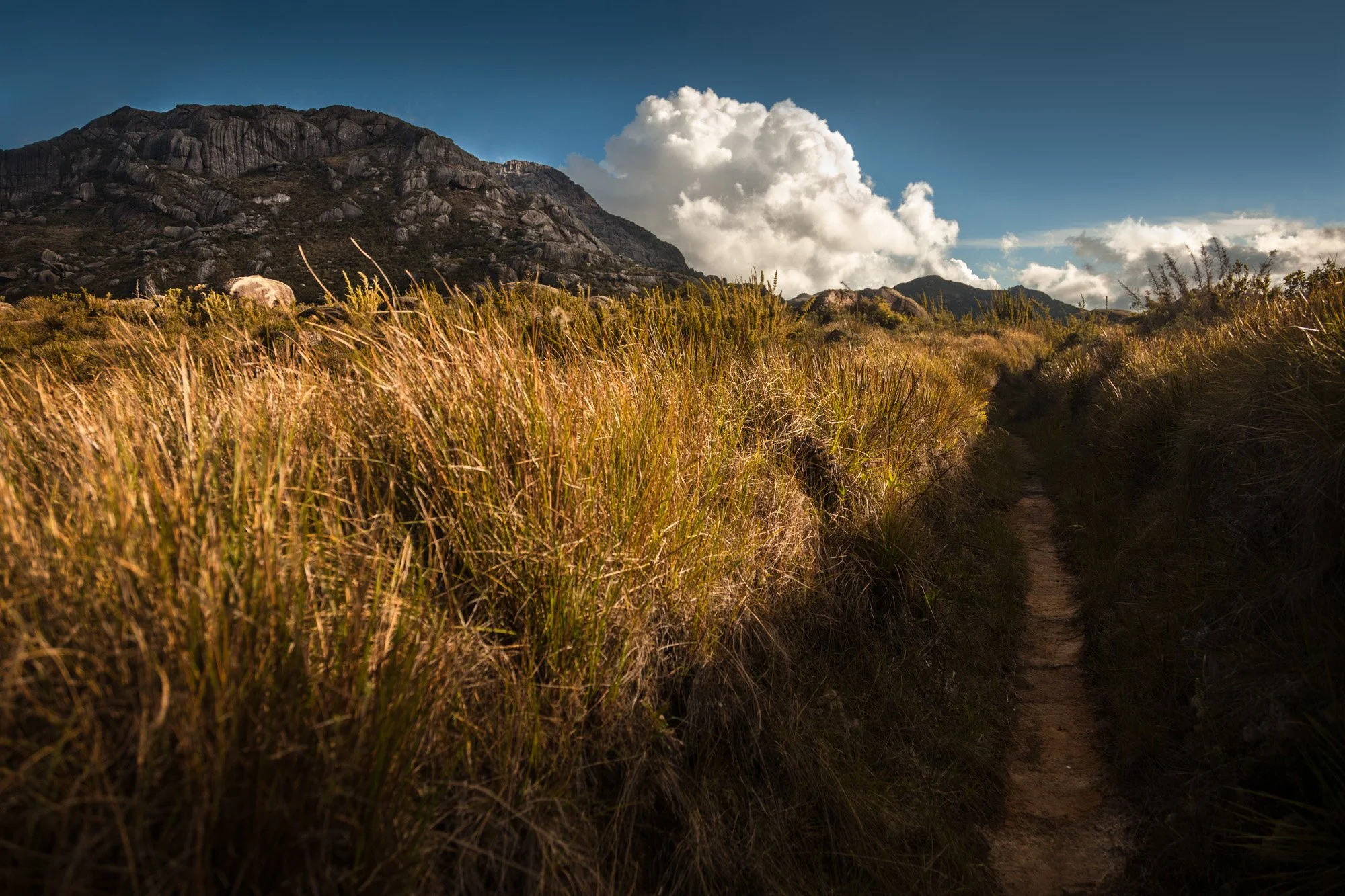 leocavallini_10nov2016_3319-Edit.jpg