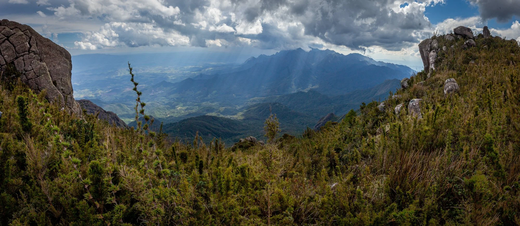 leocavallini_11nov2016_3564-Pano.jpg