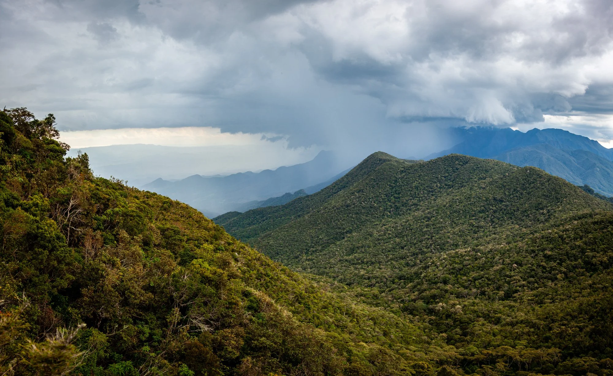 leocavallini_11nov2016_3583-Pano.jpg