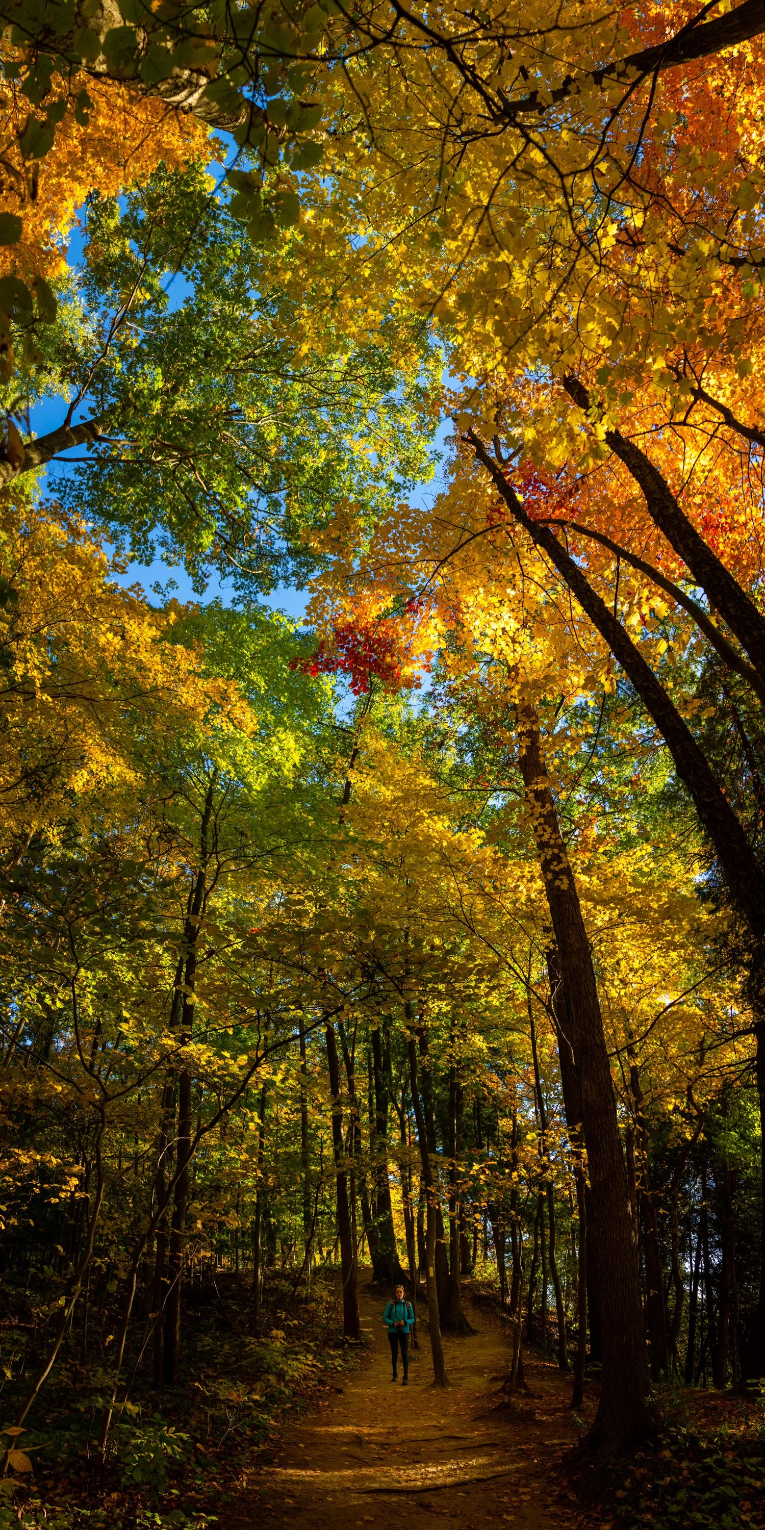  London, Canada 
 Nature 