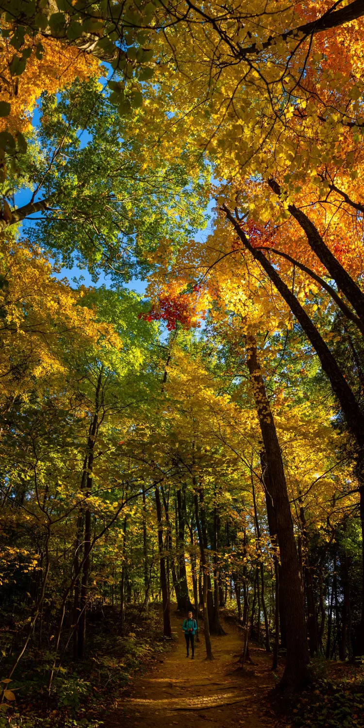  London, Canada Nature 