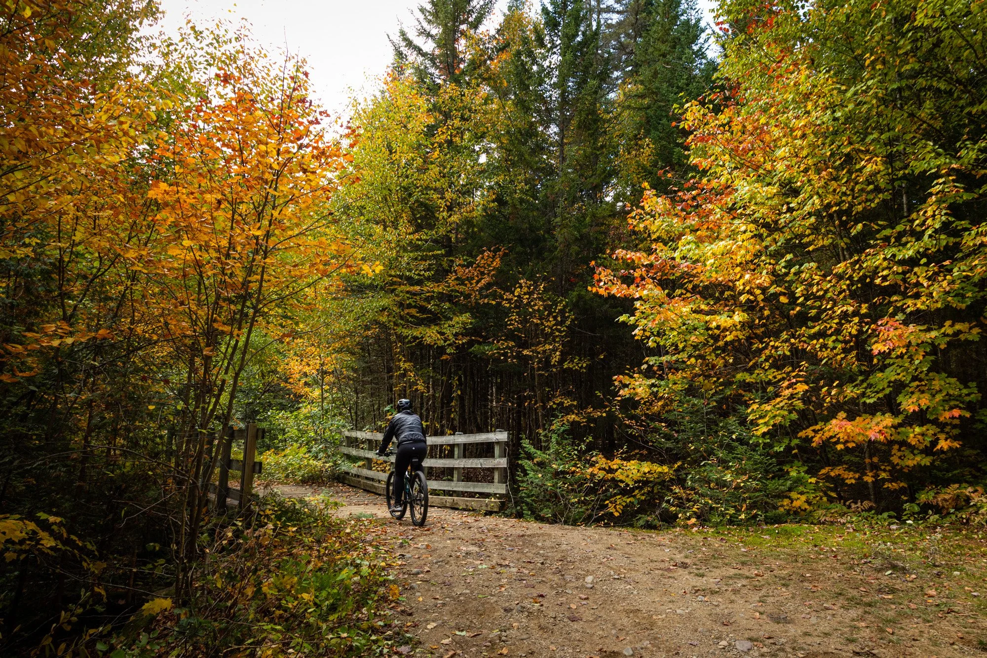 Mont-Tremblant