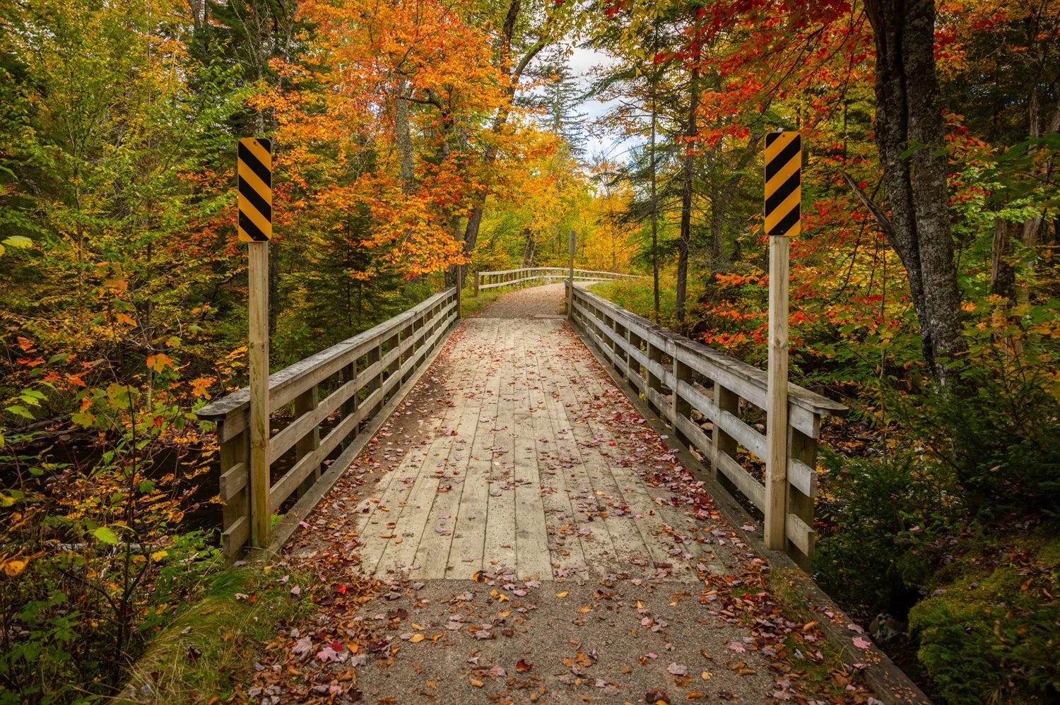  Mont-Tremblant, Québec, Canada Nature 