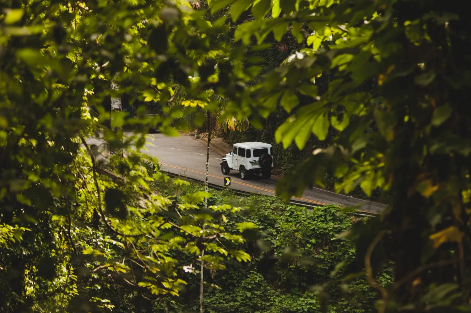 Serra da Pedra Selada (Projects Fred on Everesting , Rio de Janeiro ) Outdoors 