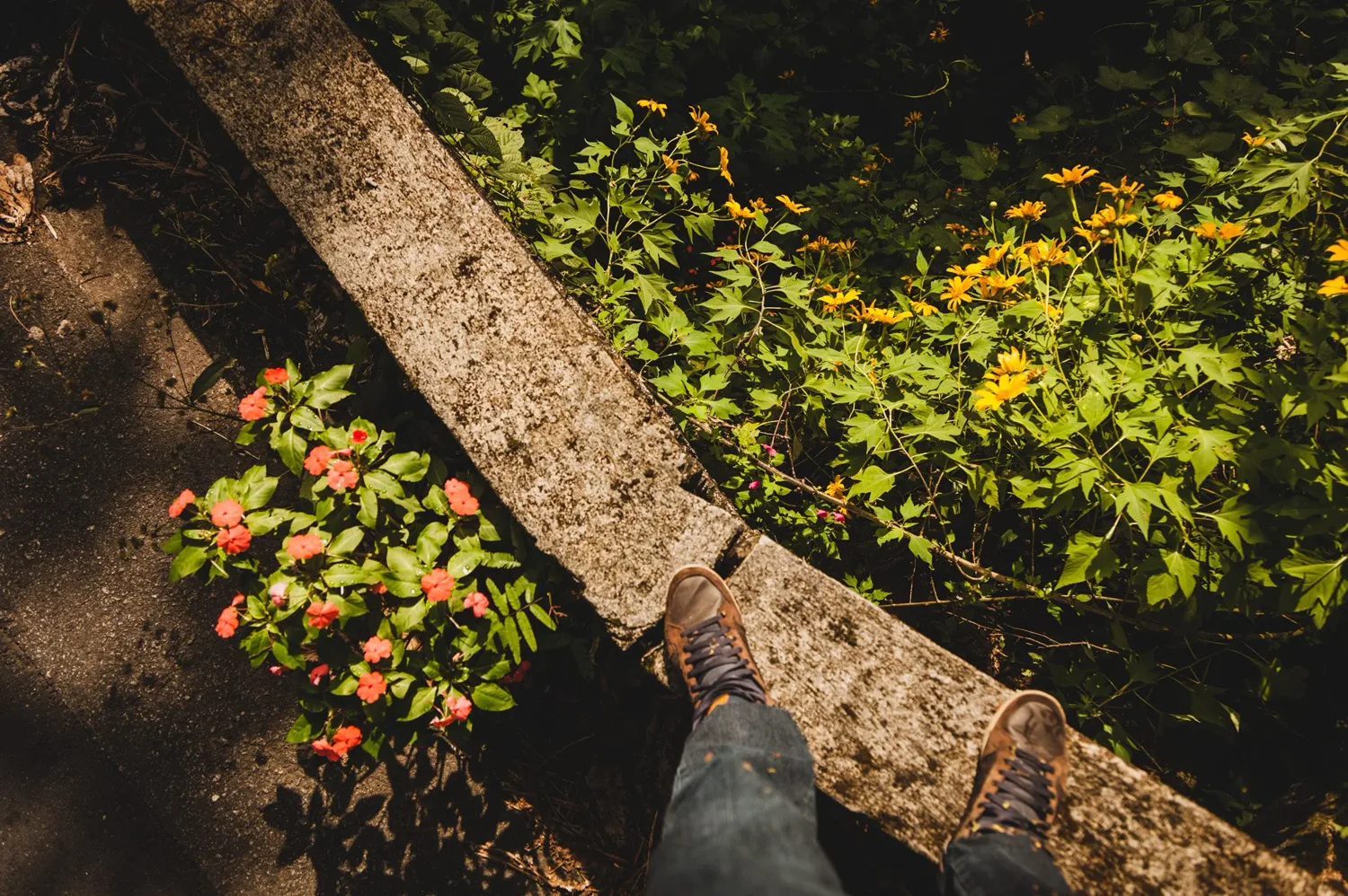 _MG_5022.jpg