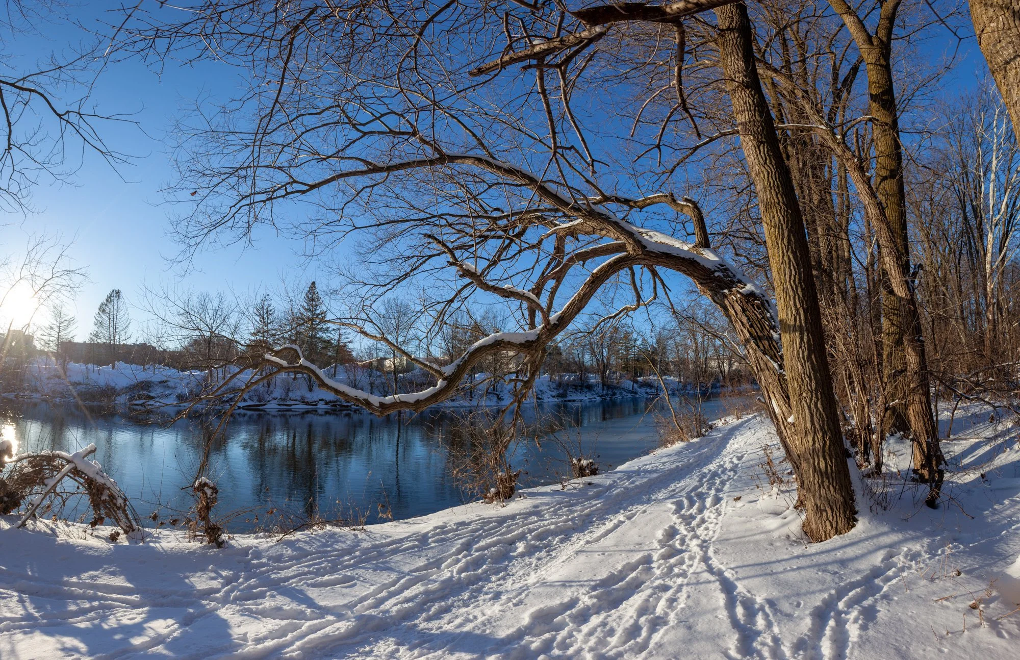 _MG_5335-Pano.jpg