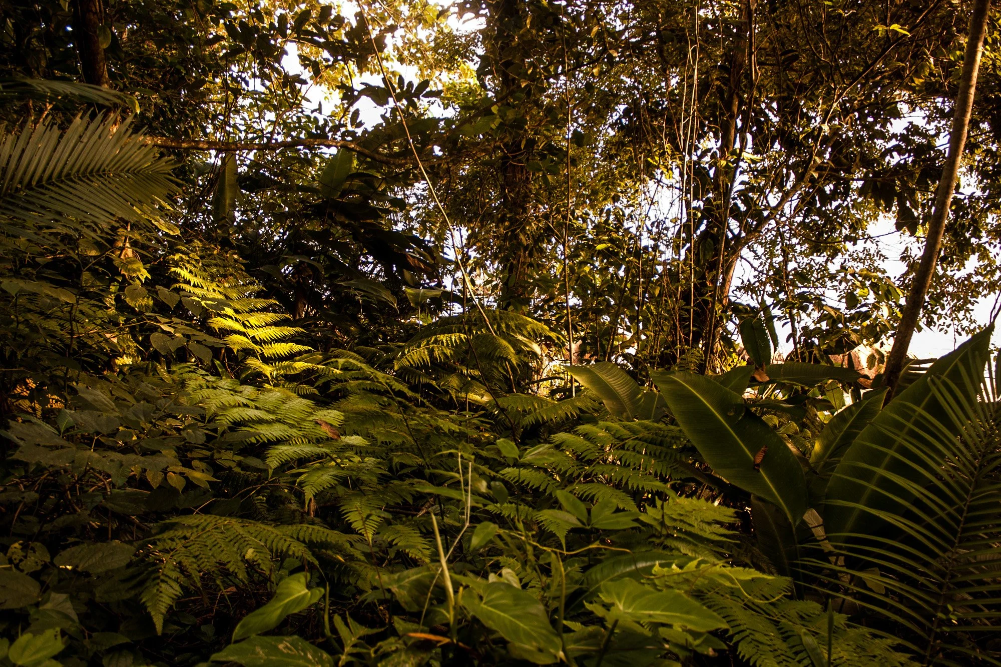 _MG_6734.jpg