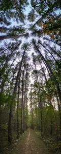 PXL_20200927_222647226.PANO.jpg