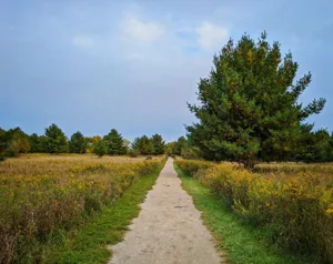 PXL_20201003_223102229-01.jpg