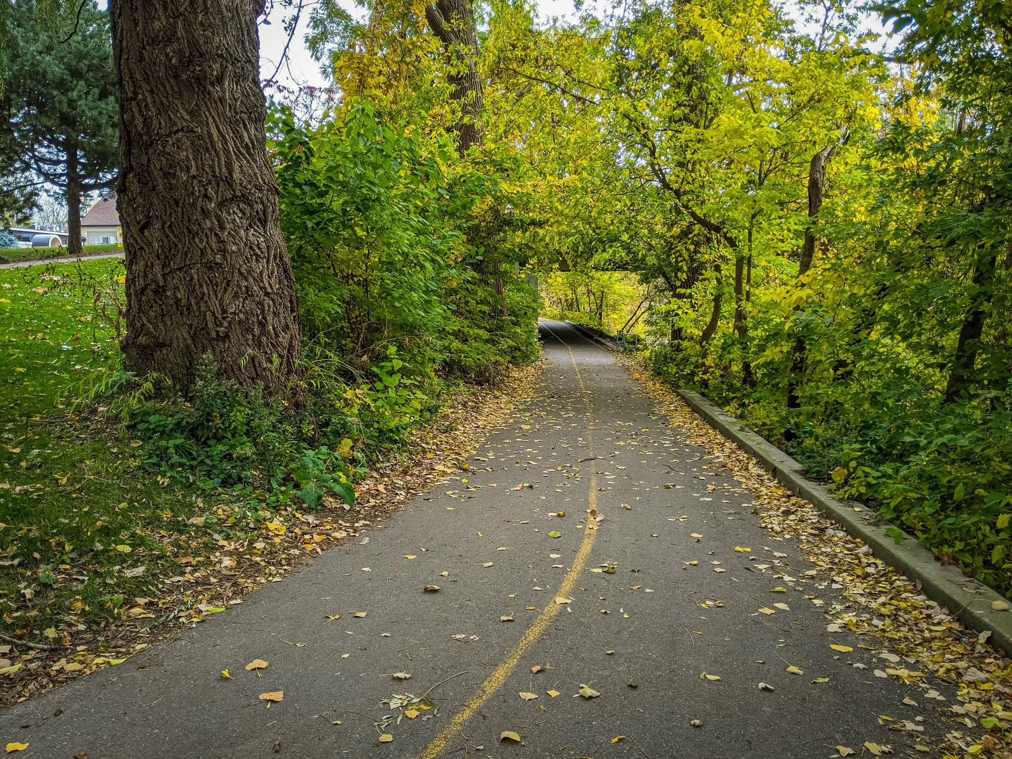 PXL_20201018_201351921.jpg