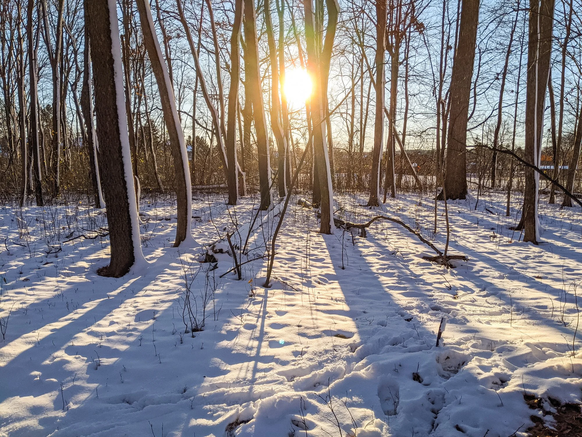 PXL_20201202_204738471.jpg