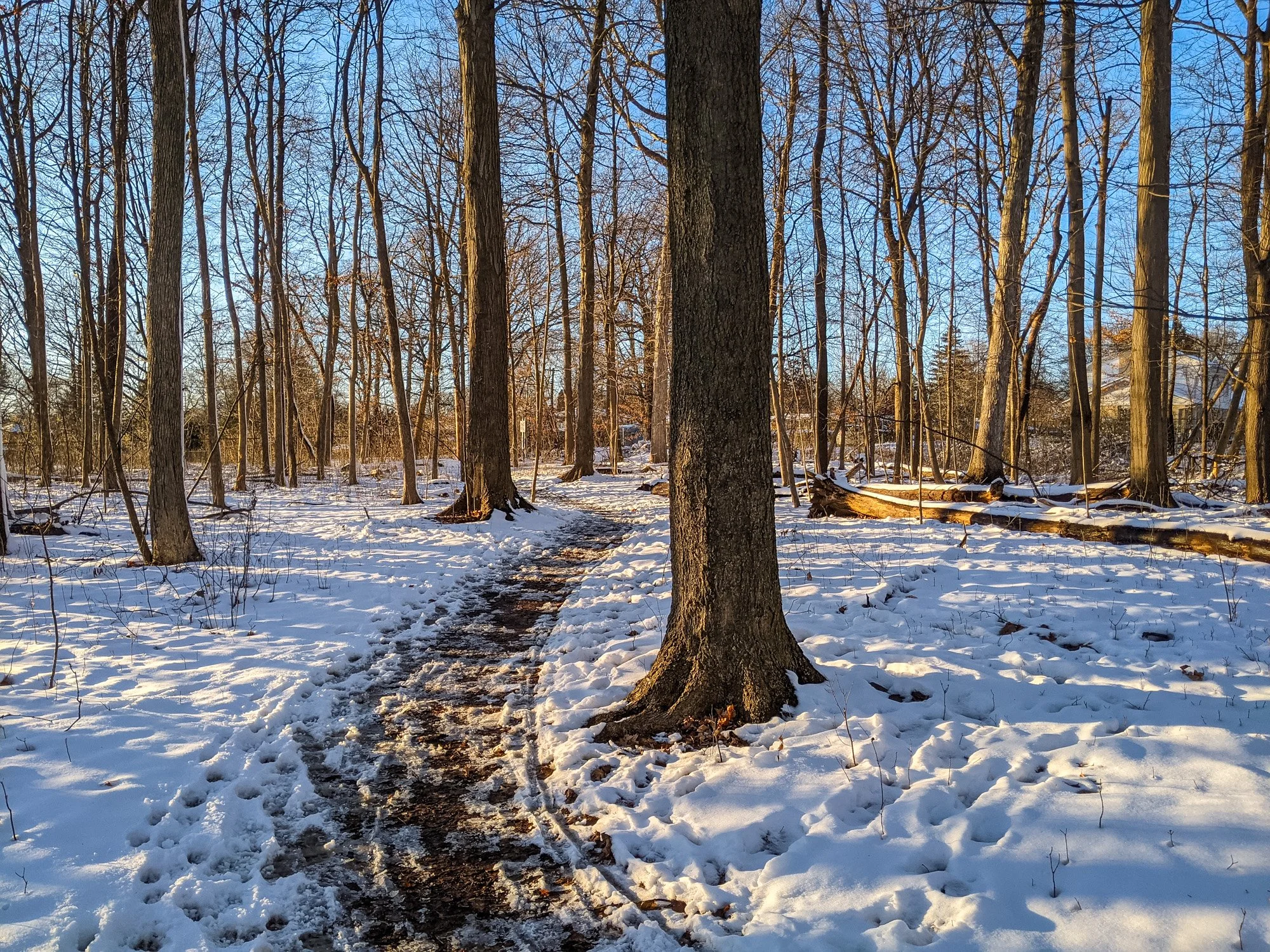 PXL_20201202_204830694.jpg